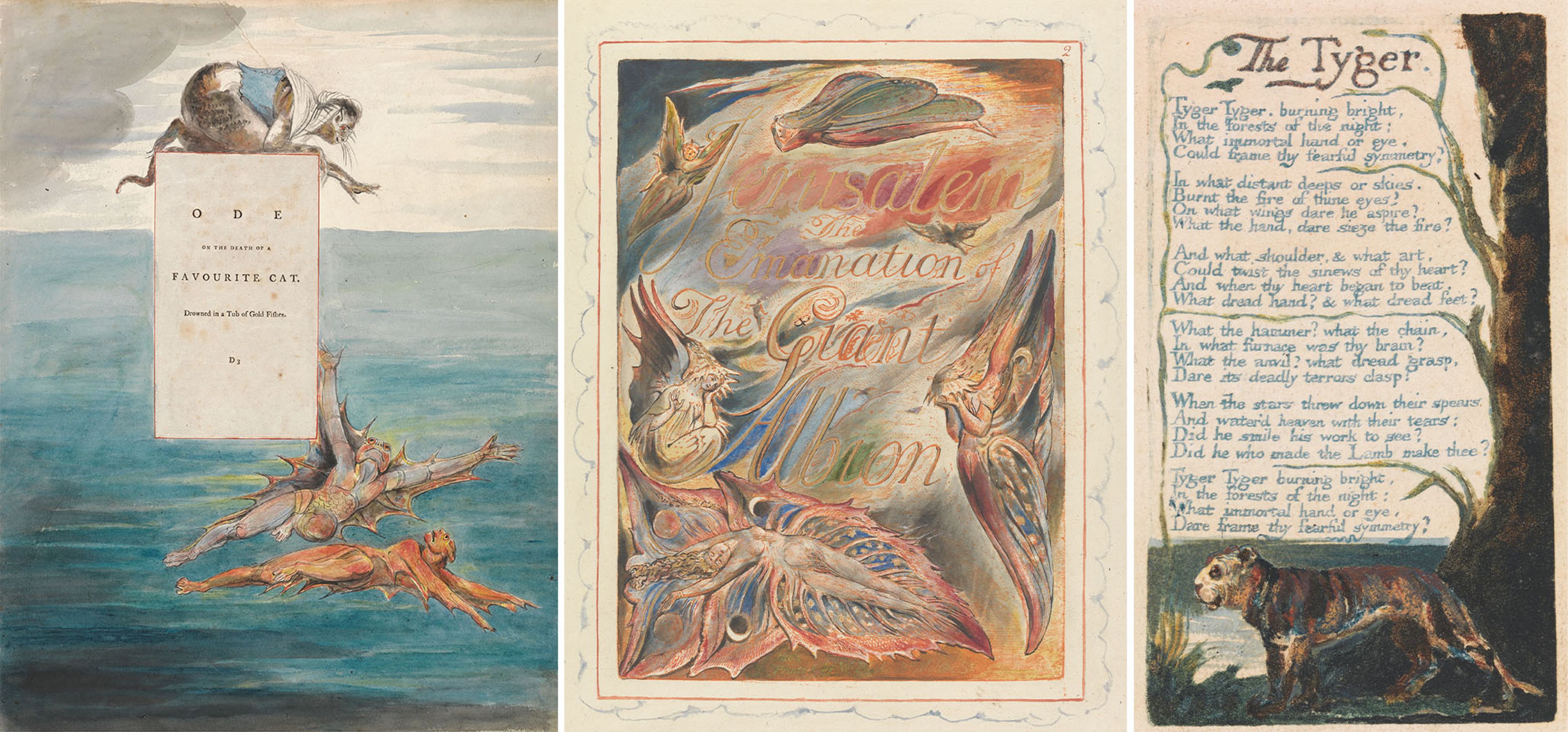 Left : William Blake, Ode on the Death of a Favourite Cat, Drowned in a Tub of Gold Fishes; Title Page , 1797–1798, watercolor with pen and black ink and graphite on moderately thick, slightly textured, cream wove paper with inlaid letterpress page. Center : William Blake, Jerusalem: The Emanation of The Giant Albion, Title Page (Plate 2) , 1804–1820, relief and white-line etching printed in orange ink with watercolor, pen and black ink, and gold on moderately thick, smooth, cream wove paper. Right : William Blake, The Tyger (Plate 42) , 1794, color-printed relief etching with hand coloring in watercolor on moderately thick, slightly textured, cream wove paper.