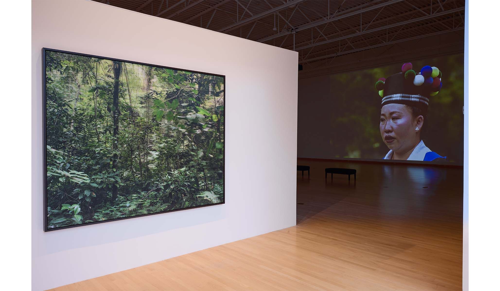 Installation view of Pao Houa Her, The Imaginative Landscape , 2025. Left: Untitled , from the Pictures of Paradise series, 2023–2024, lenticular print. Right: Kwv Txhiaj in the Valley of Widows , 2023, single-channel video; 24 minutes, looped.
