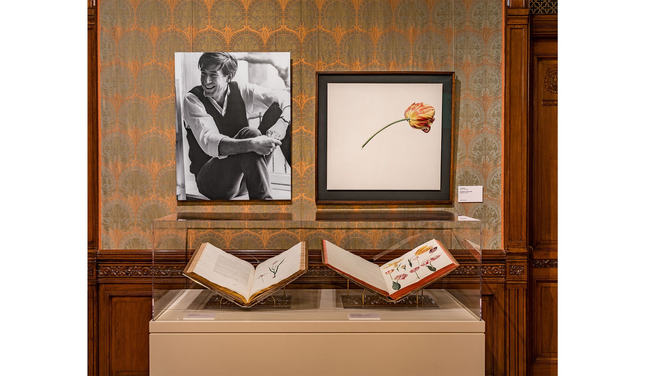 Installation view of Rory McEwen: A New Perspective on Nature .
