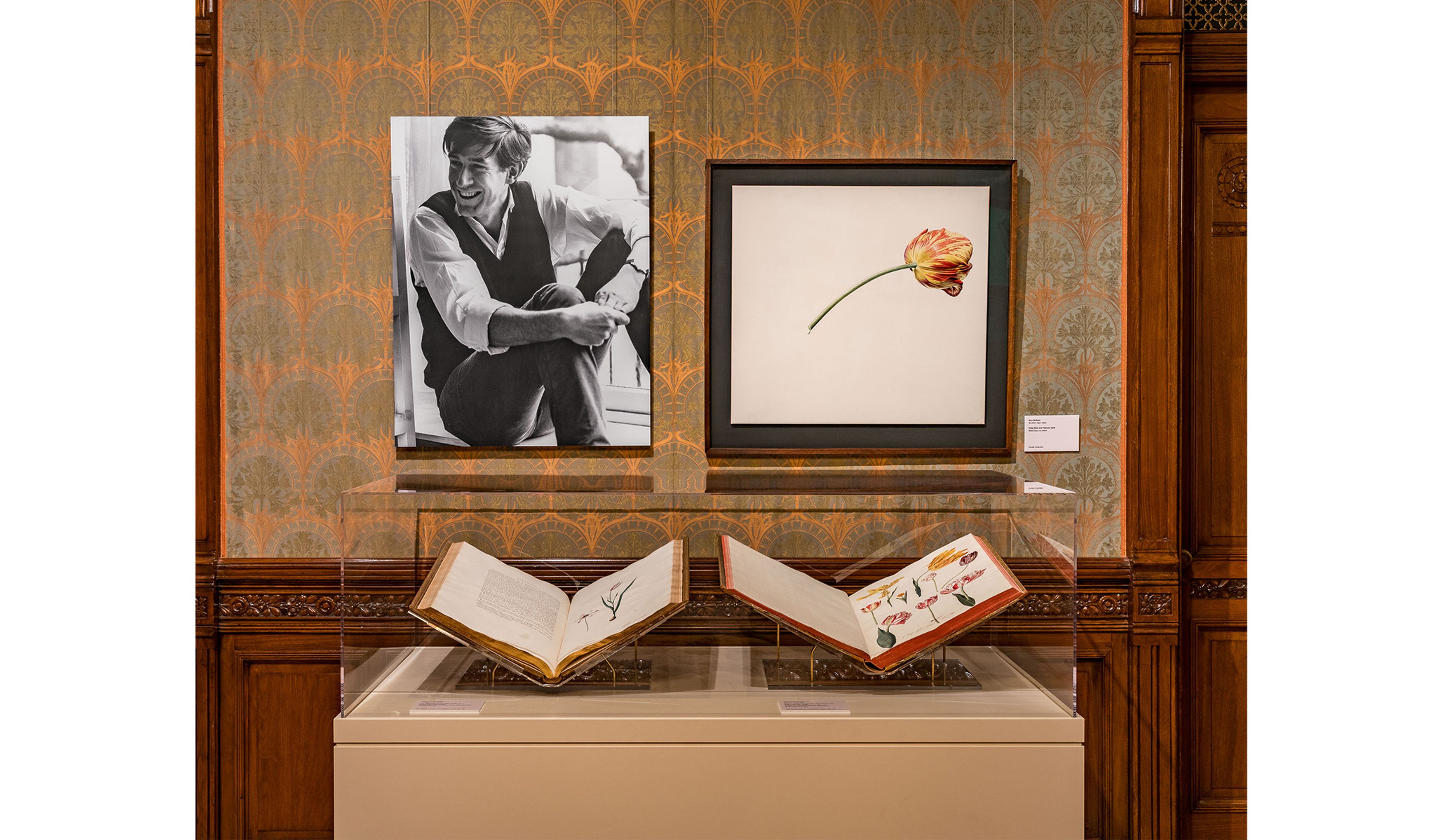 Installation view of Rory McEwen: A New Perspective on Nature .