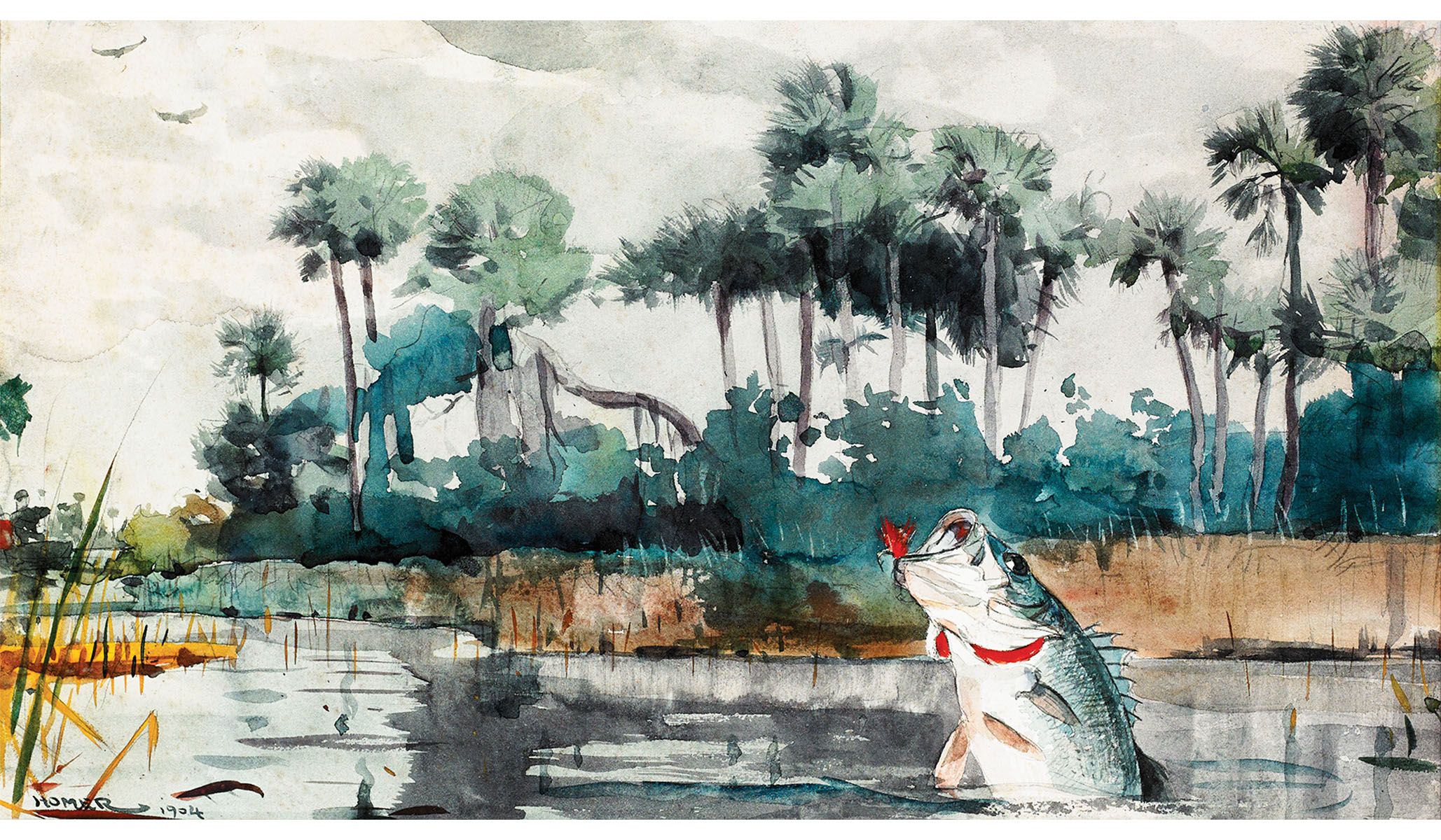Winslow Homer, Black Bass, Florida , 1904, watercolor on paper.