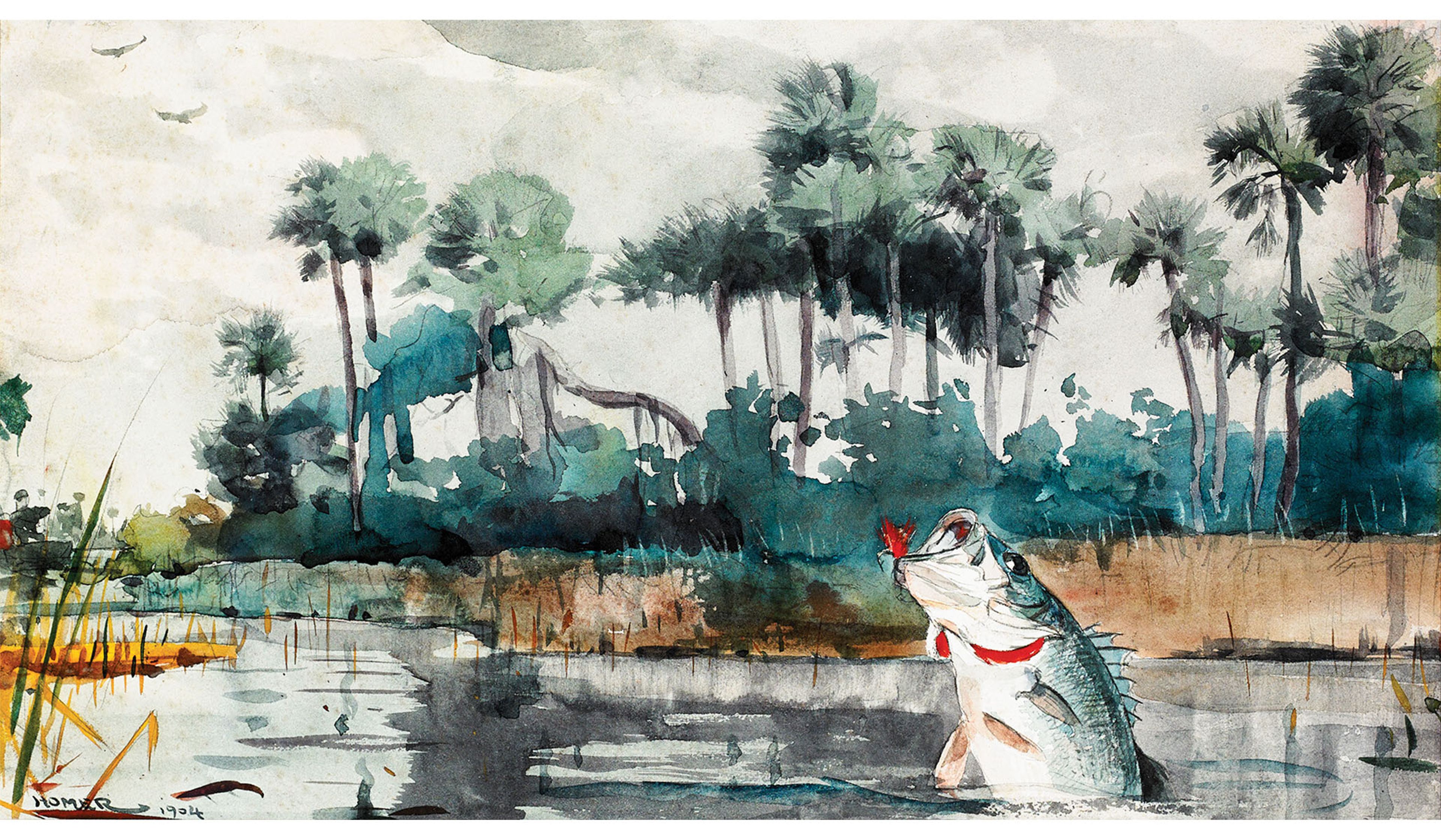 Winslow Homer, Black Bass, Florida , 1904, watercolor on paper.
