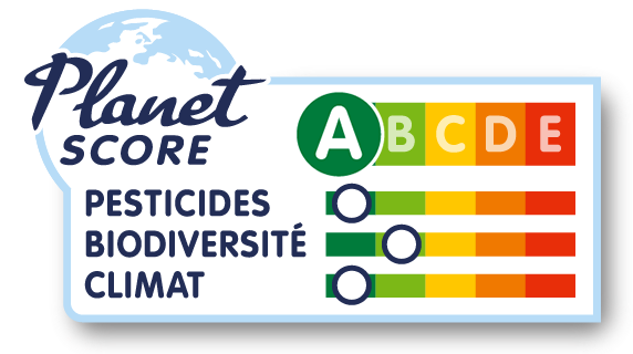 Soupe aux 5 légumes