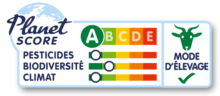 Soupe épinard chèvre