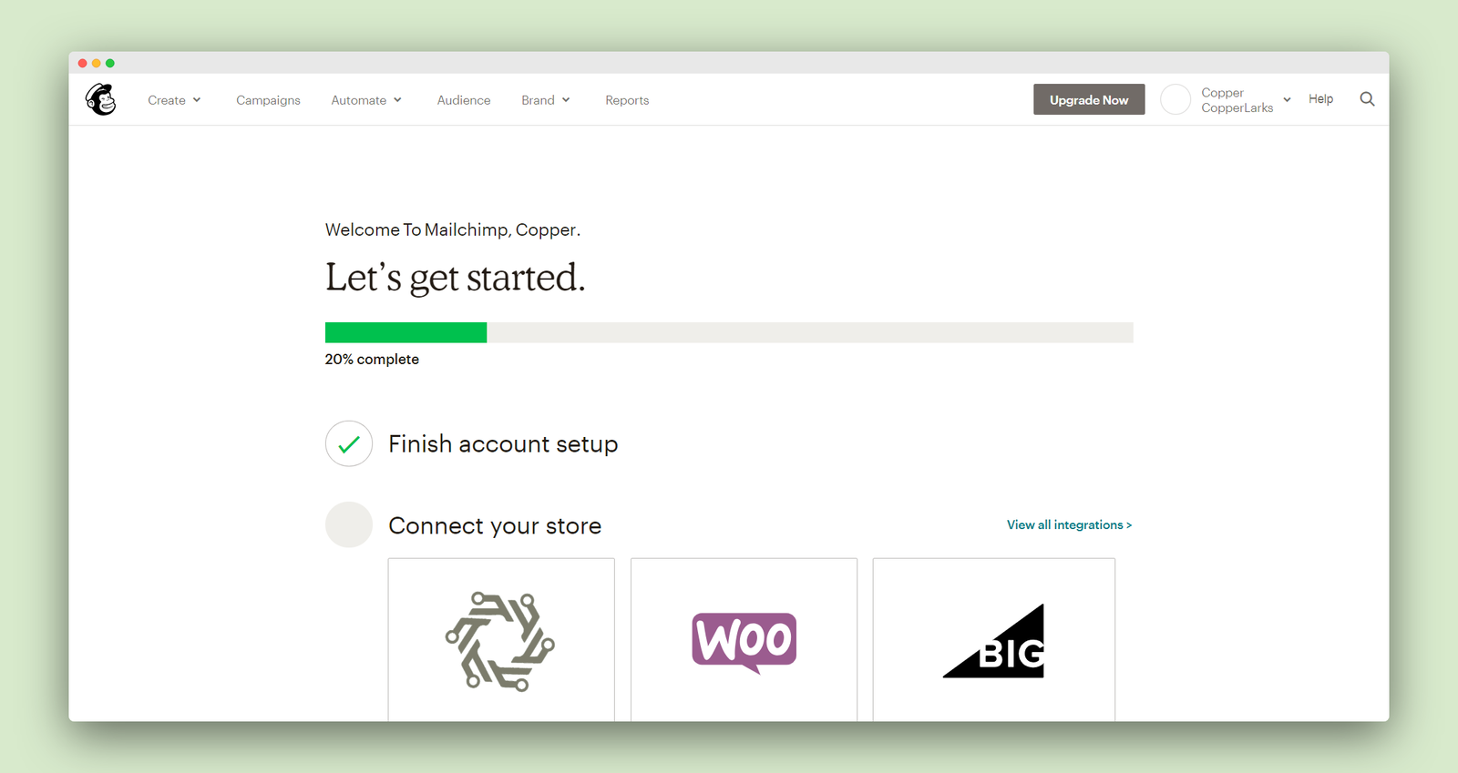 MailChimp screenshot 2