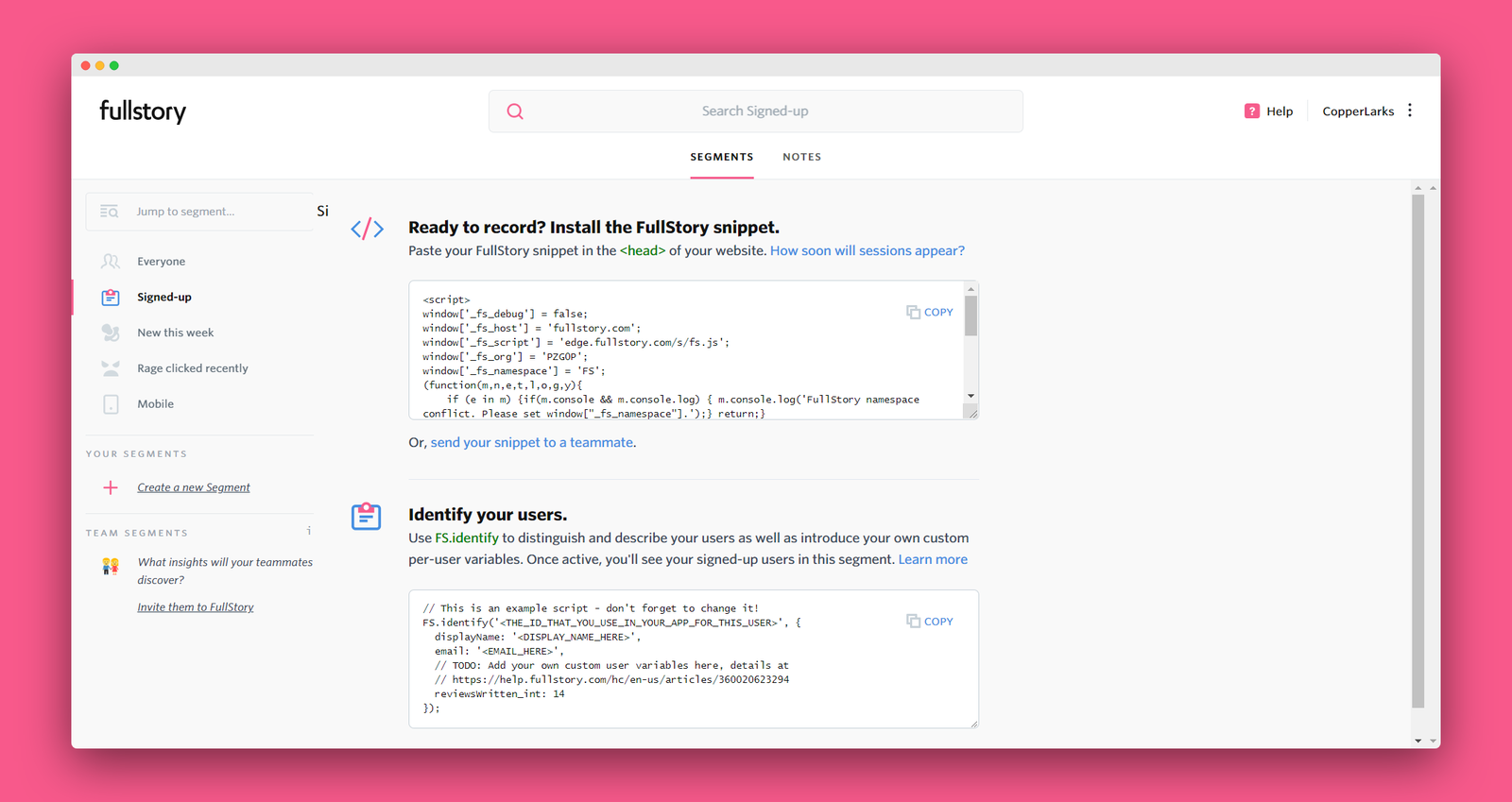 Fullstory screenshot 2