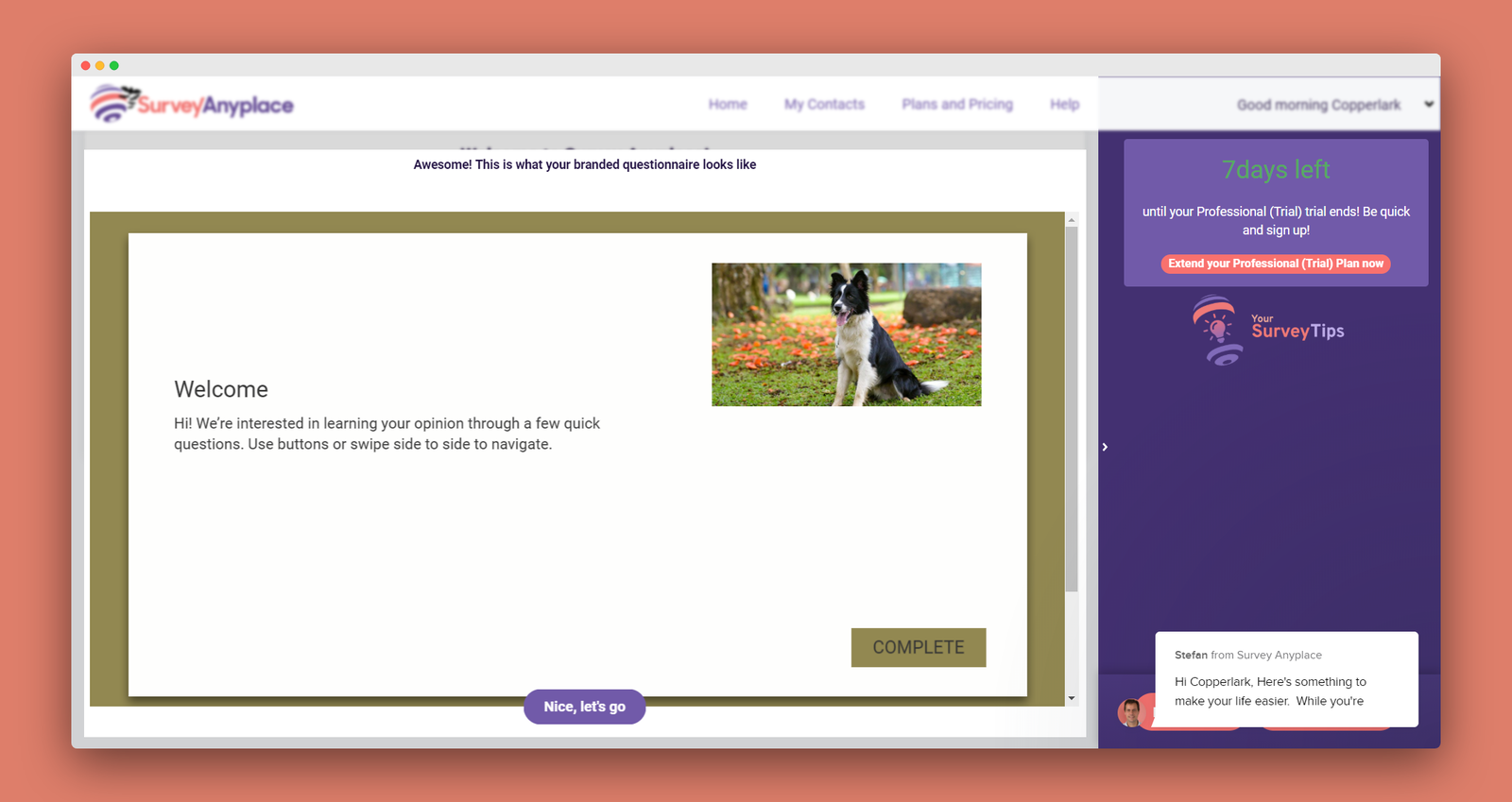 Survey Anyplace screenshot 2