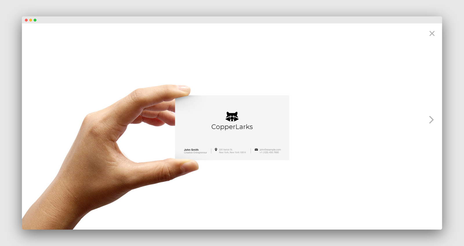 Squarespace Logos screenshot 3