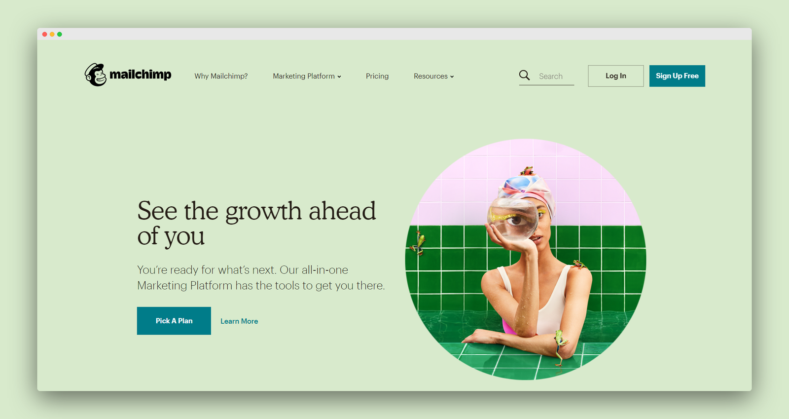 MailChimp screenshot 1