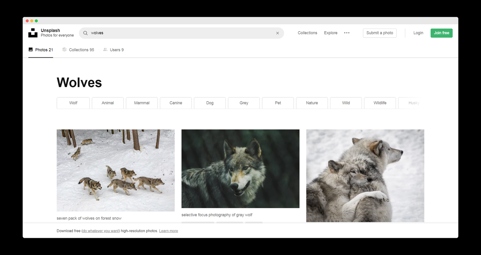 Unsplash screenshot 2