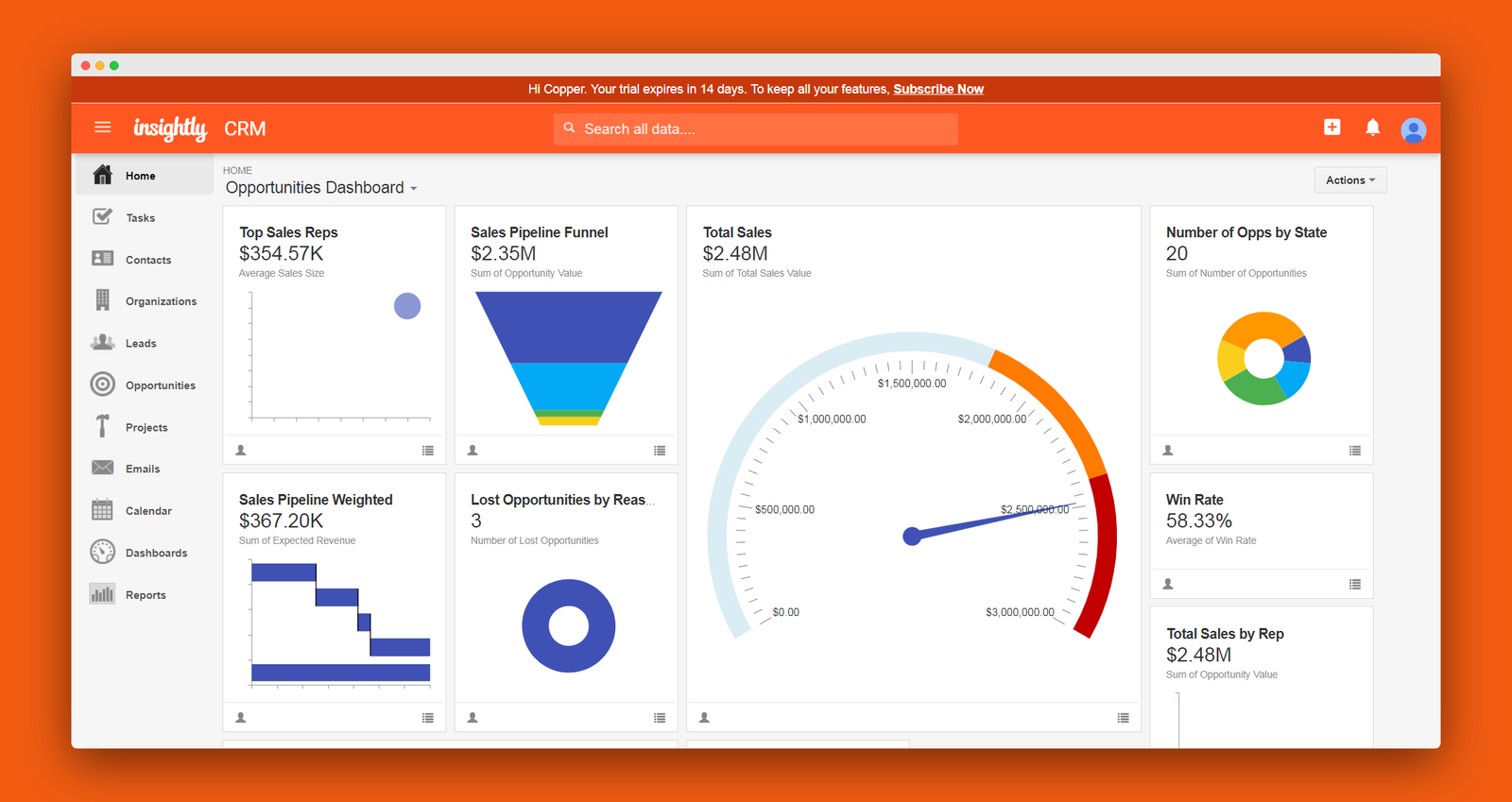 Insightly screenshot 2