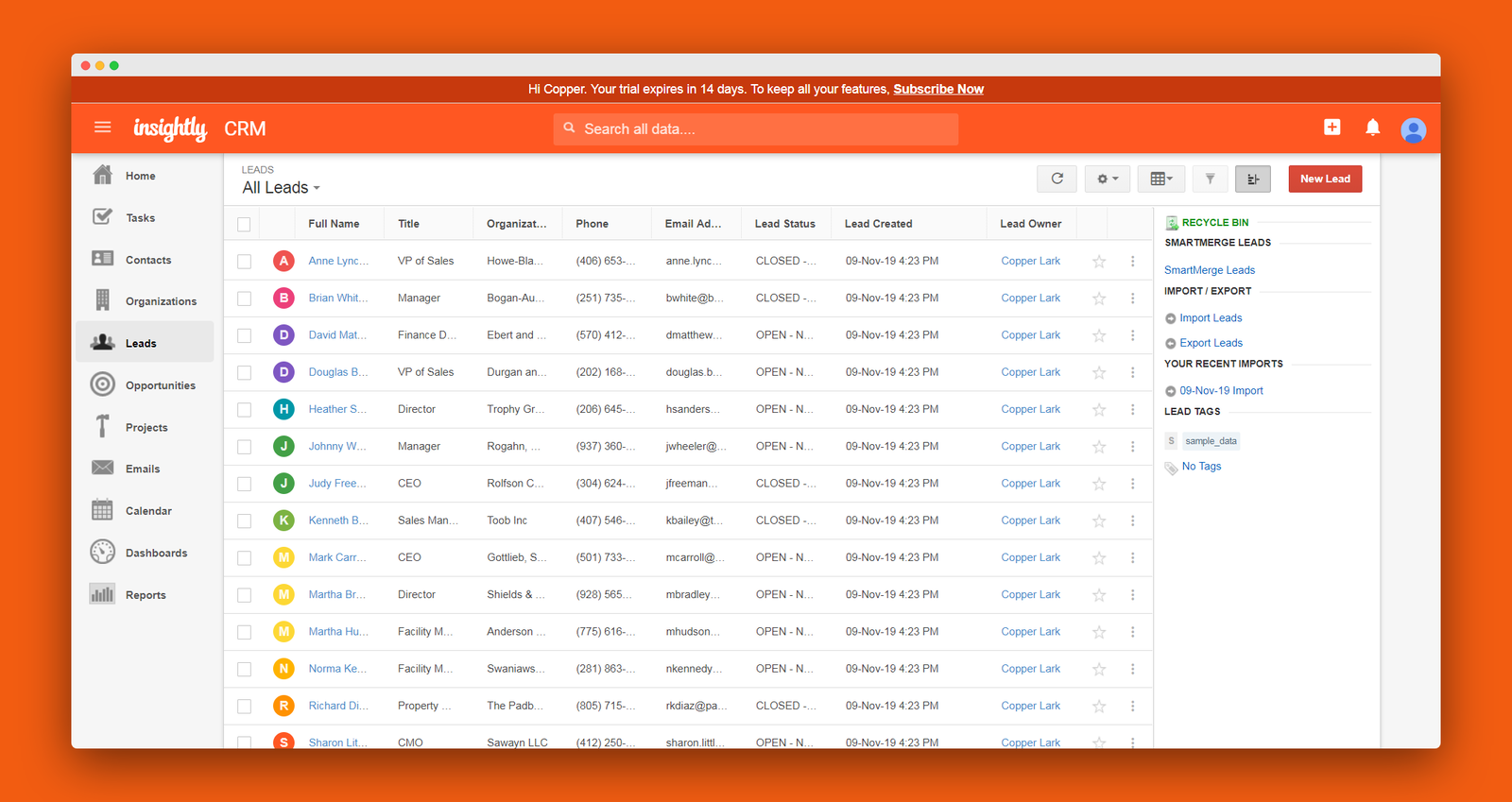 Insightly screenshot 3