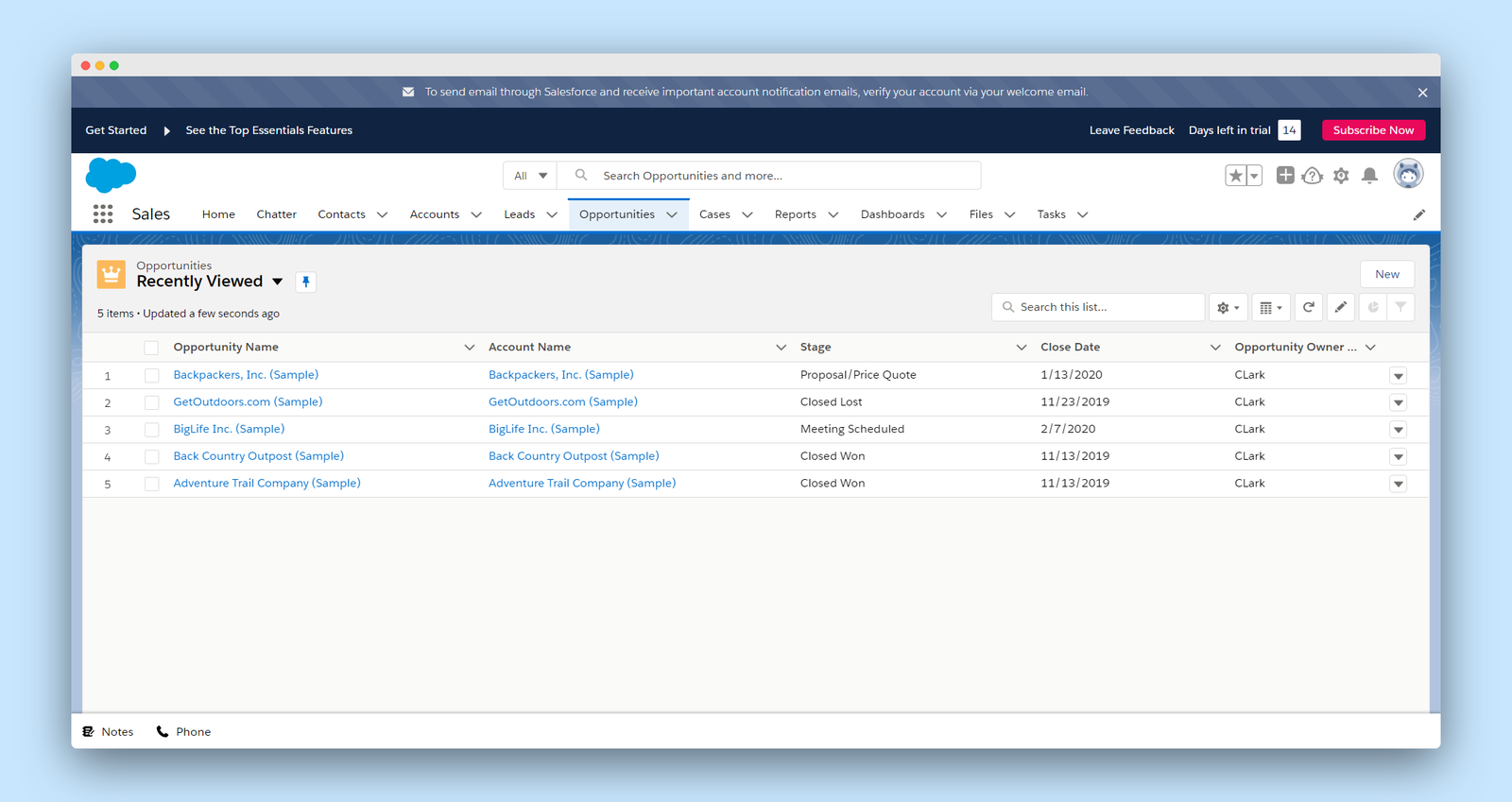 Salesforce screenshot 3