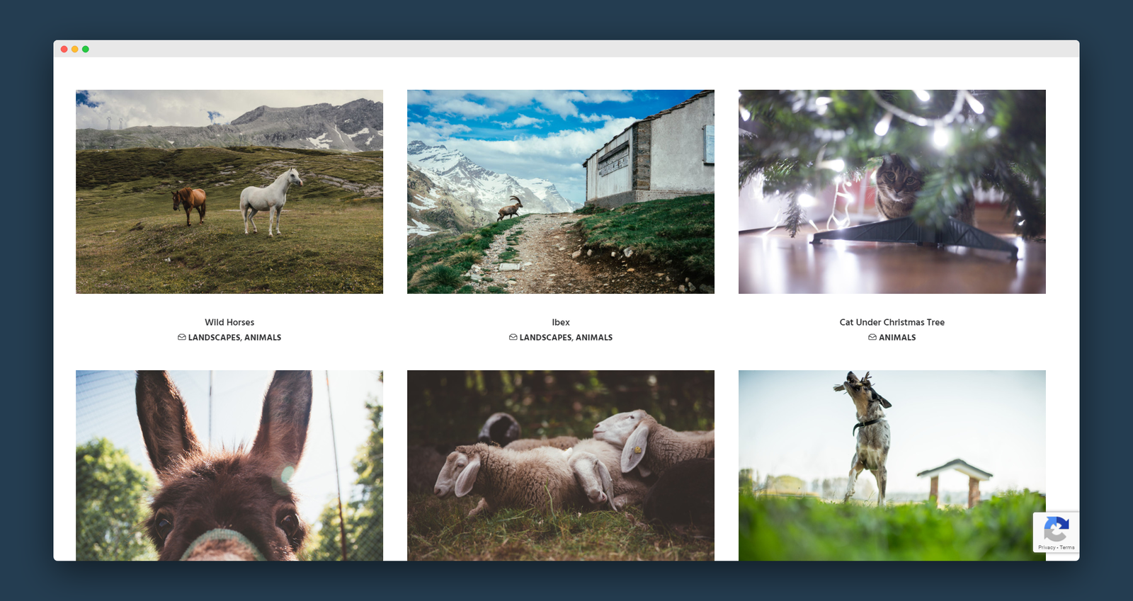 Splitshire screenshot 3