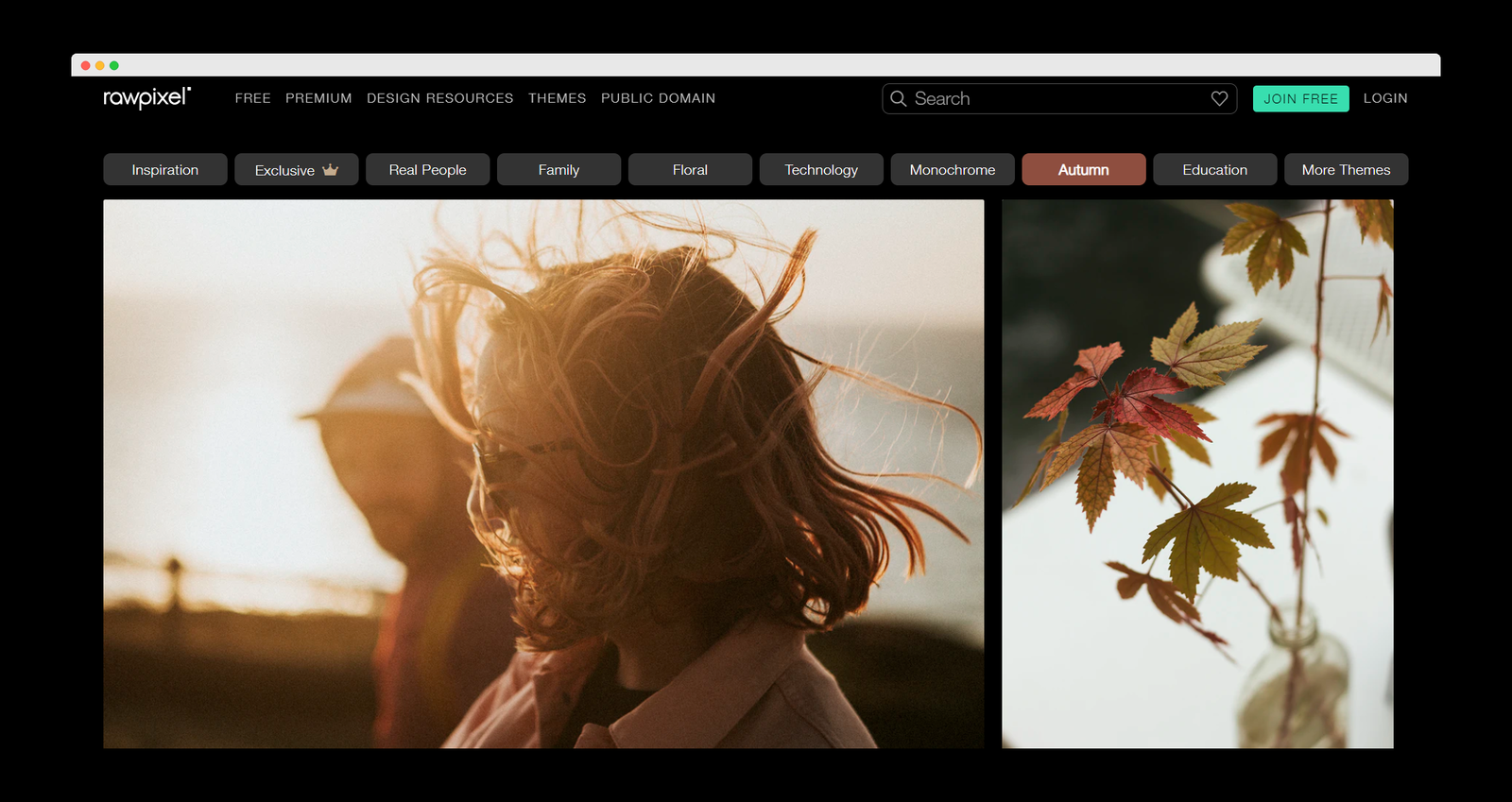 Pixabay screenshot 3