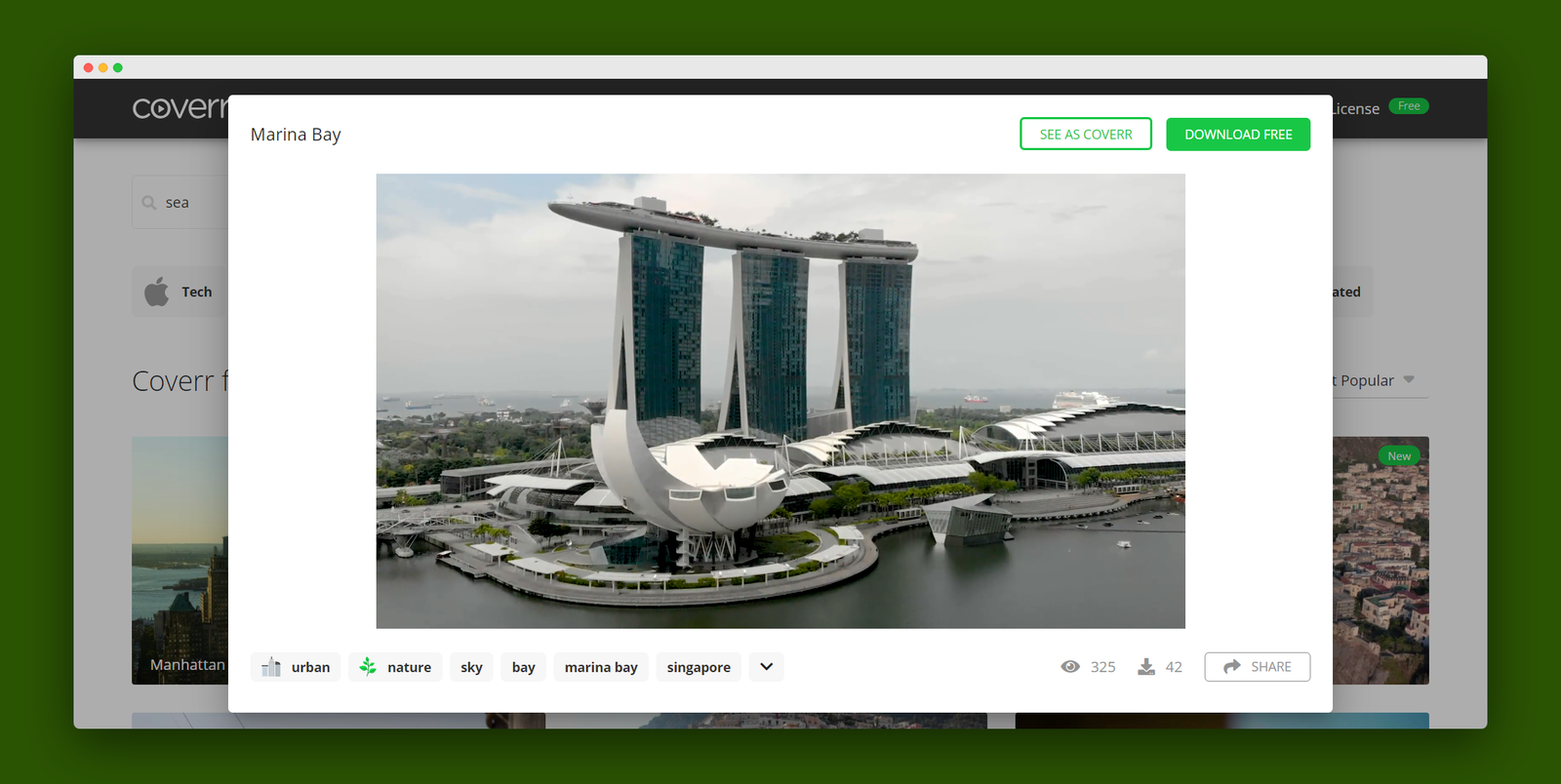 Coverr screenshot 3