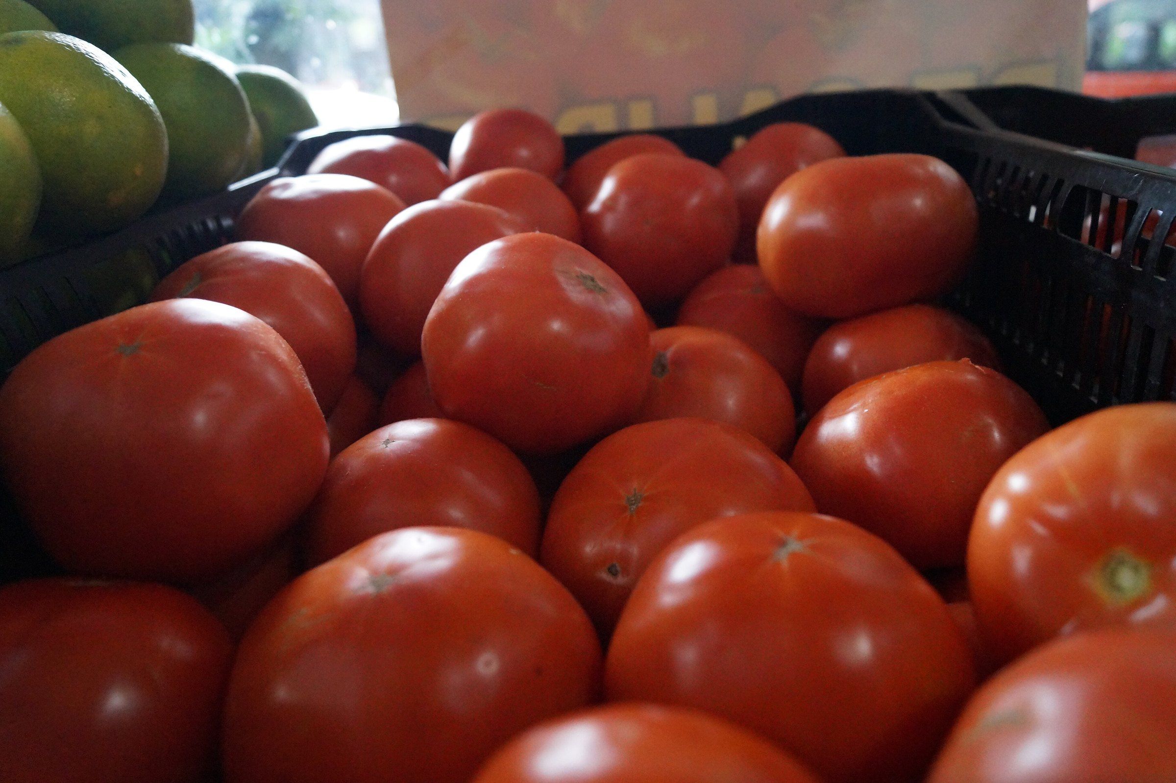 Caja de plástico negra llena de jitomates rojos y maduros a la venta en un mercado; a la izquierda se ven algunas limas verdes.