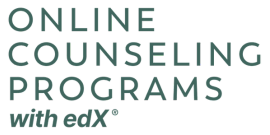 Online Counseling Programs