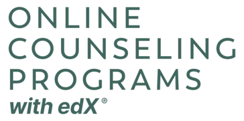 Online Counseling Programs