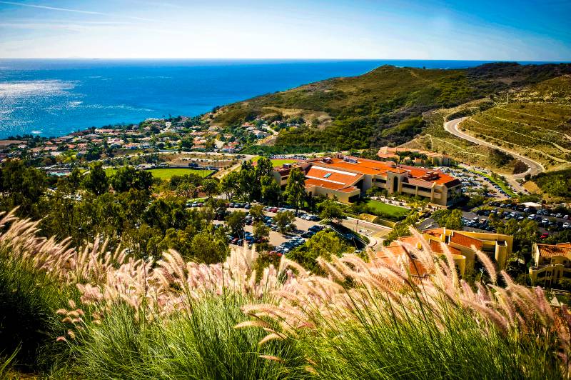 Master of Science in Speech-Language Pathology