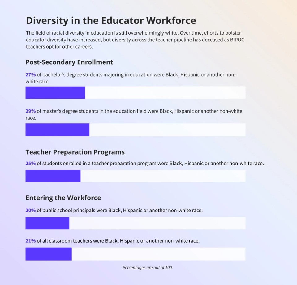 Bar chat conveying data and statistics for racial diversity in education.