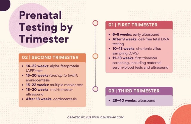Timeline of prenatal testing procedures performed in each trimester.