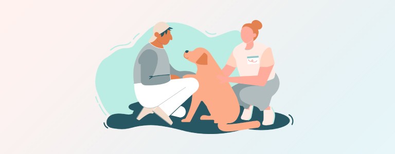 Understanding Animal-Assisted Interventions and Veterinary Social Work