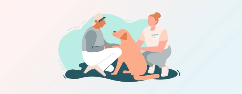 Understanding Animal-Assisted Interventions and Veterinary Social Work