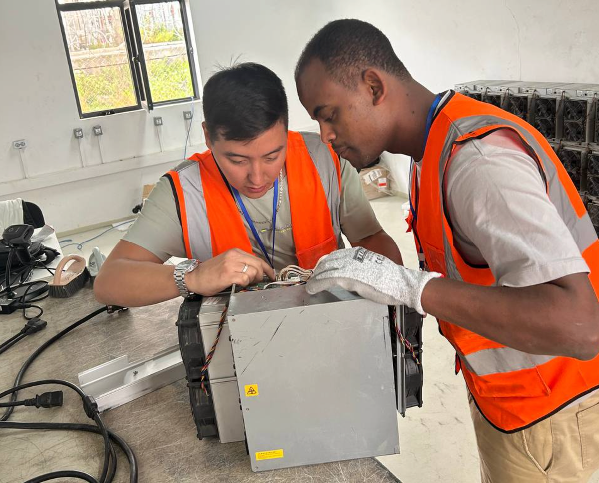 Technicians diagnosing a hashboard at a Hashlabs repair centre.