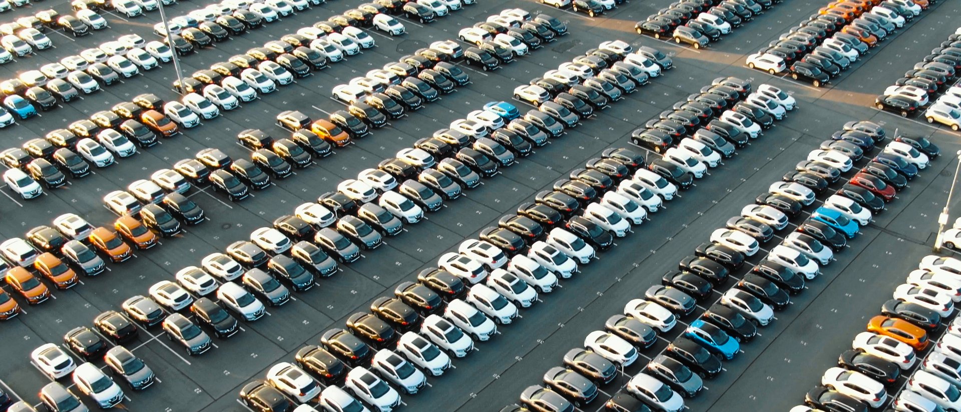 Arbeiter steht zwischen Windrädern und Solaranlage.