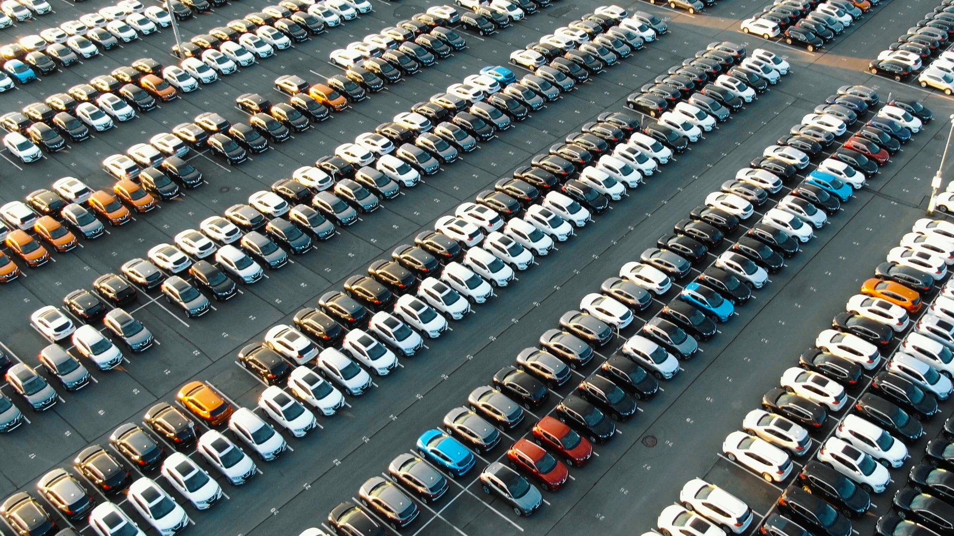 Arbeiter steht zwischen Windrädern und Solaranlage.