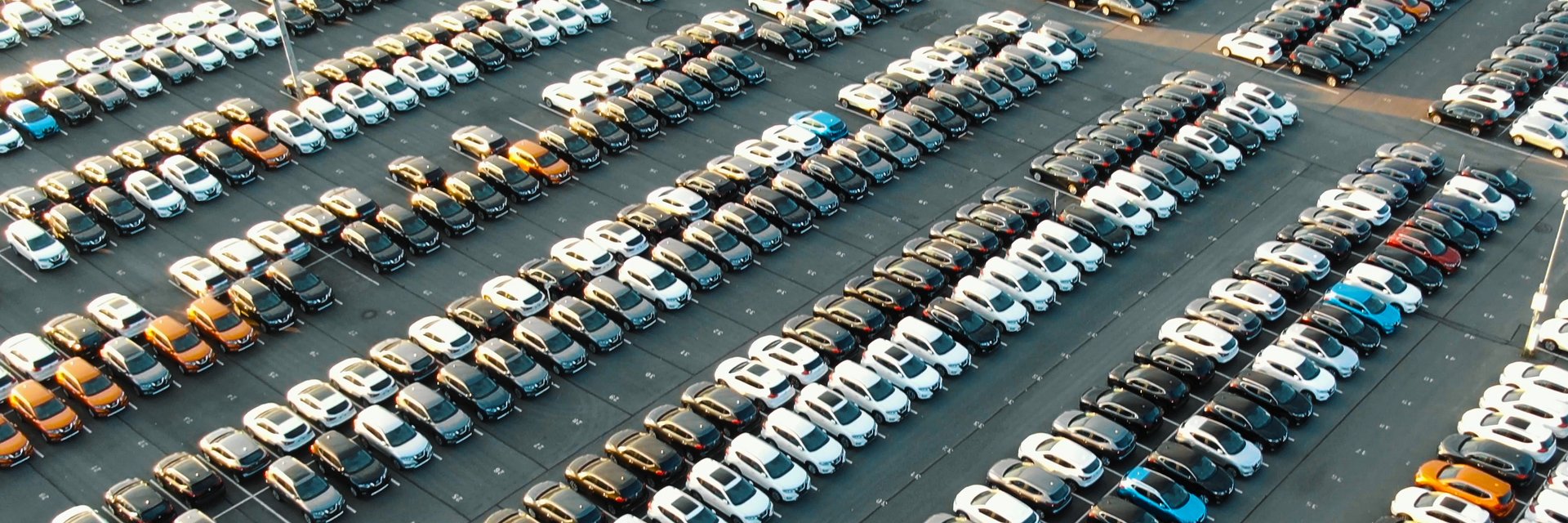 Arbeiter steht zwischen Windrädern und Solaranlage.