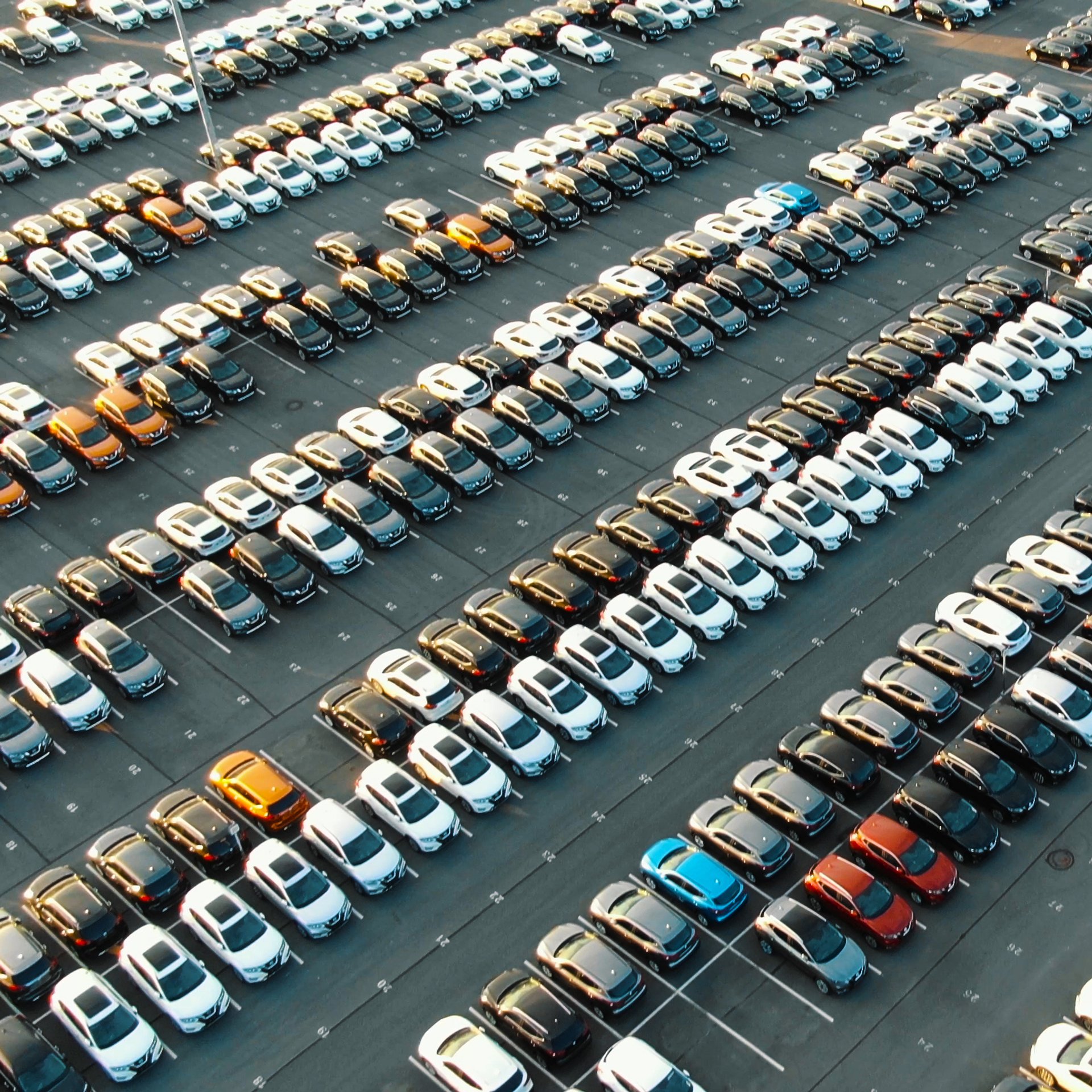 Worker standing between wind turbines and solar panels.