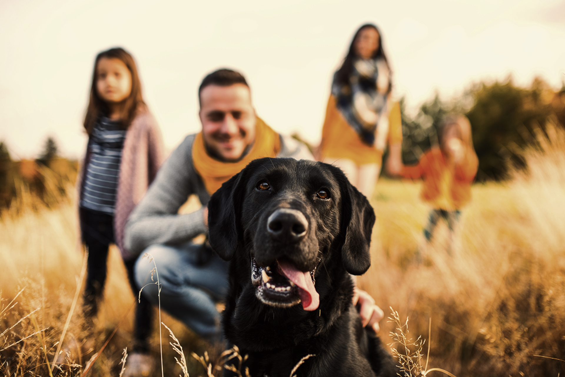 Ein schwarzer Labrador im Vordergrund, dahinter verschwommen eine vierköpfige Familie.