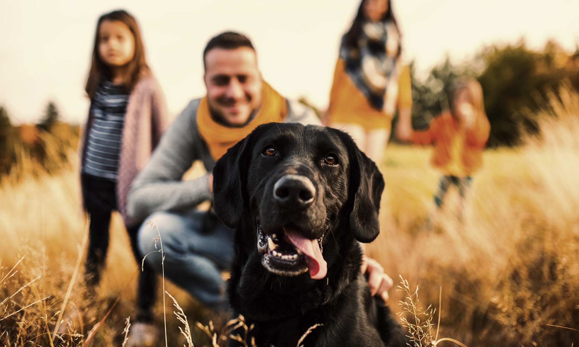 Ein schwarzer Labrador im Vordergrund, dahinter verschwommen eine vierköpfige Familie.