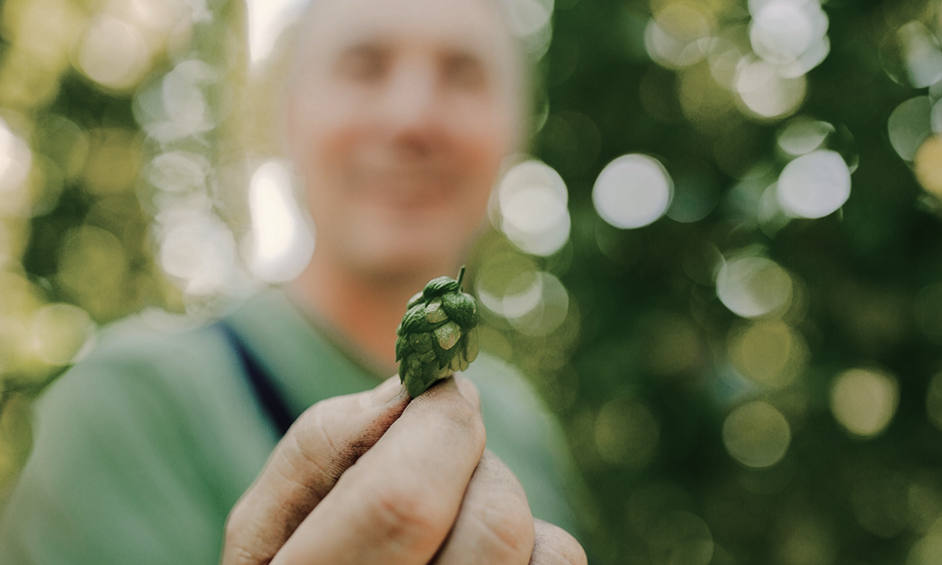 Zwei Finger halten eine Hopfenblüte.