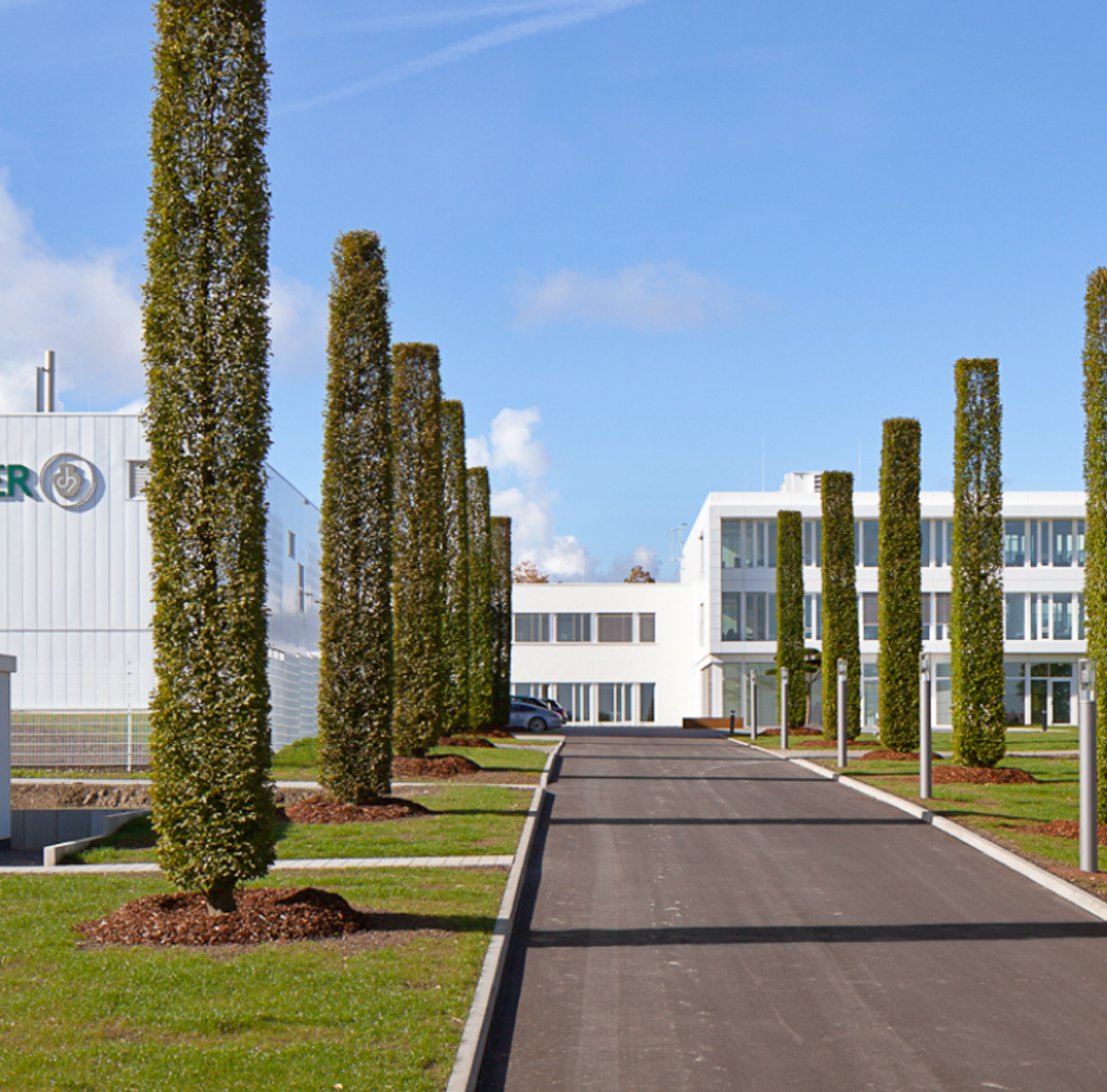 Eine Allee führt auf das Firmengebäude von C.HAFNER zu.