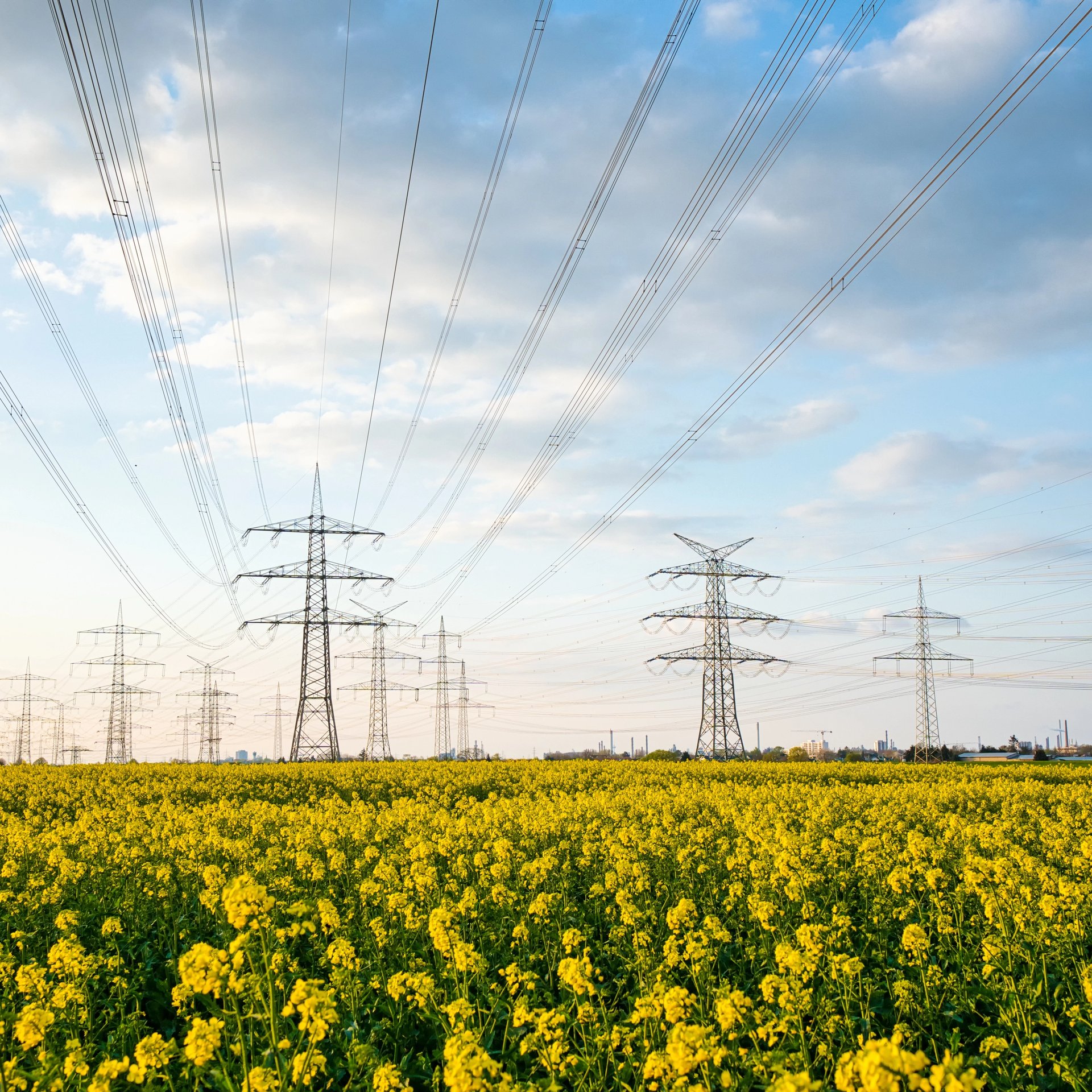 Arbeiter steht zwischen Windrädern und Solaranlage.