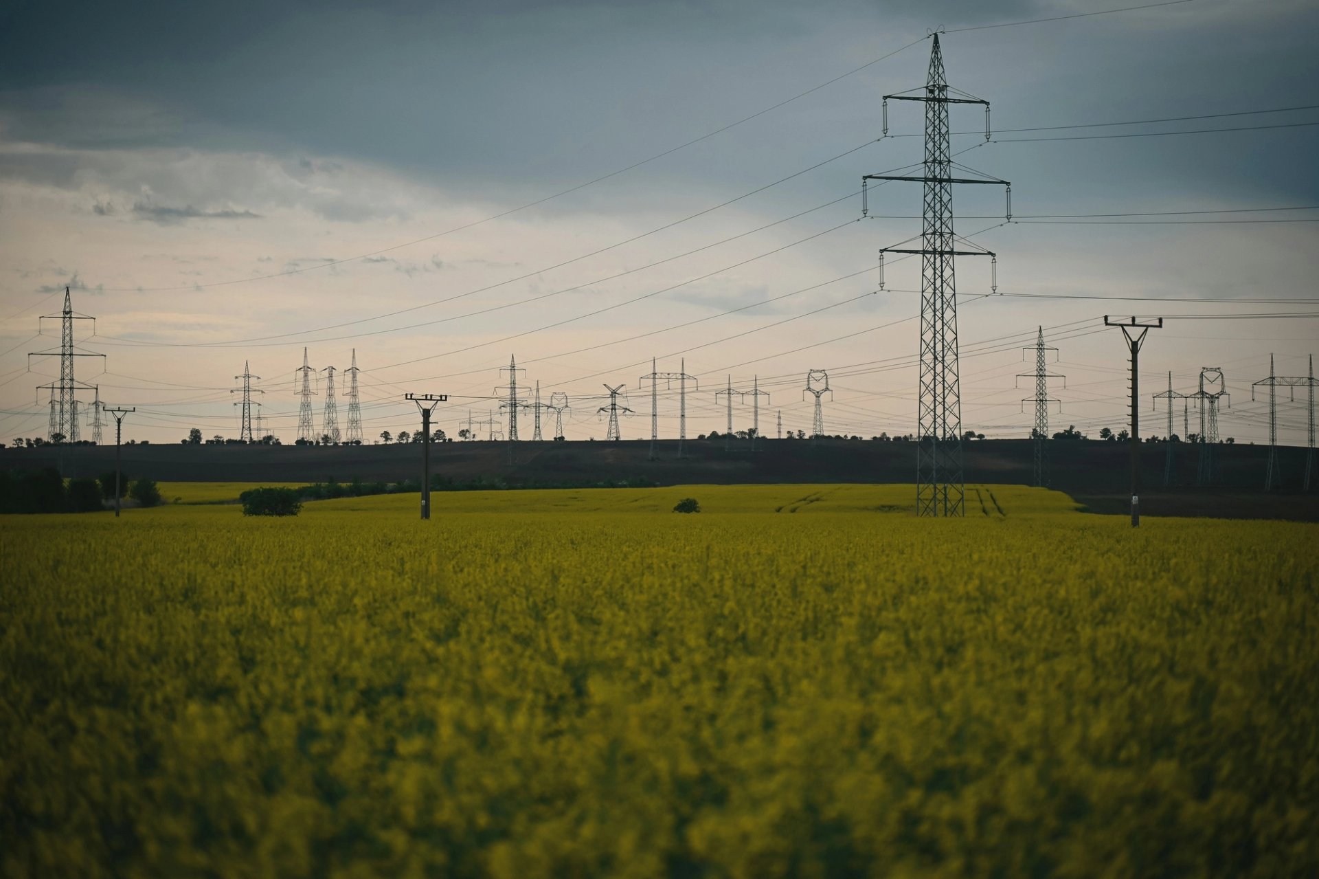 Worker standing between wind turbines and solar panels. 