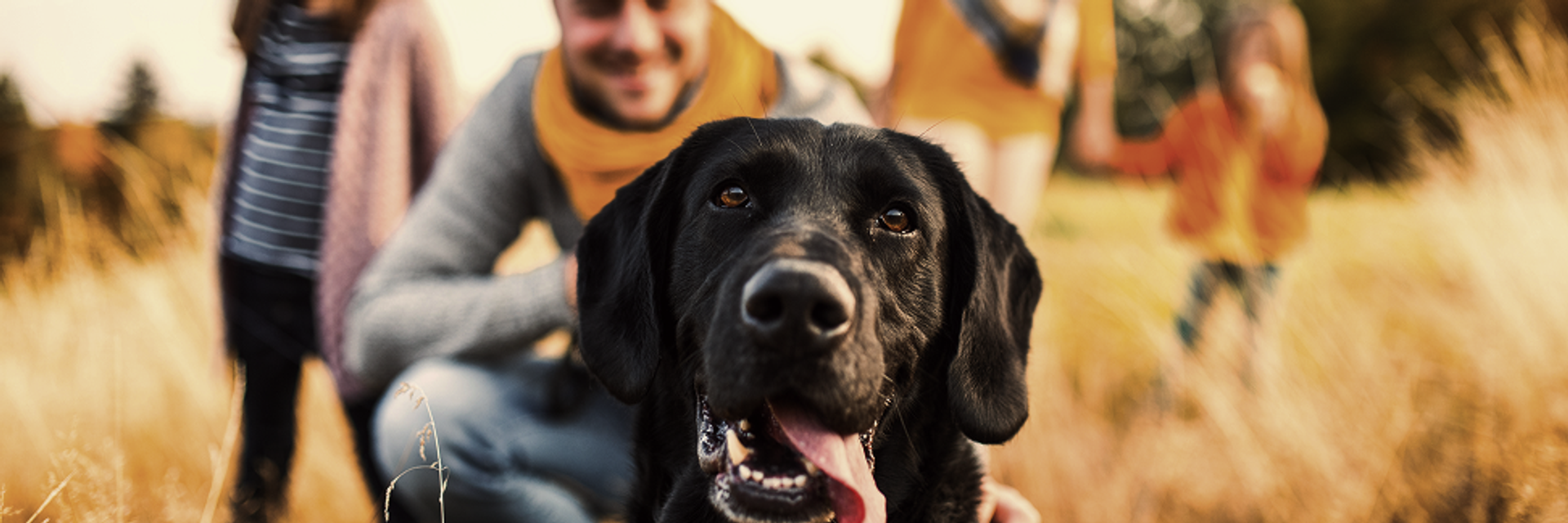 Ein schwarzer Labrador im Vordergrund, dahinter verschwommen eine vierköpfige Familie.