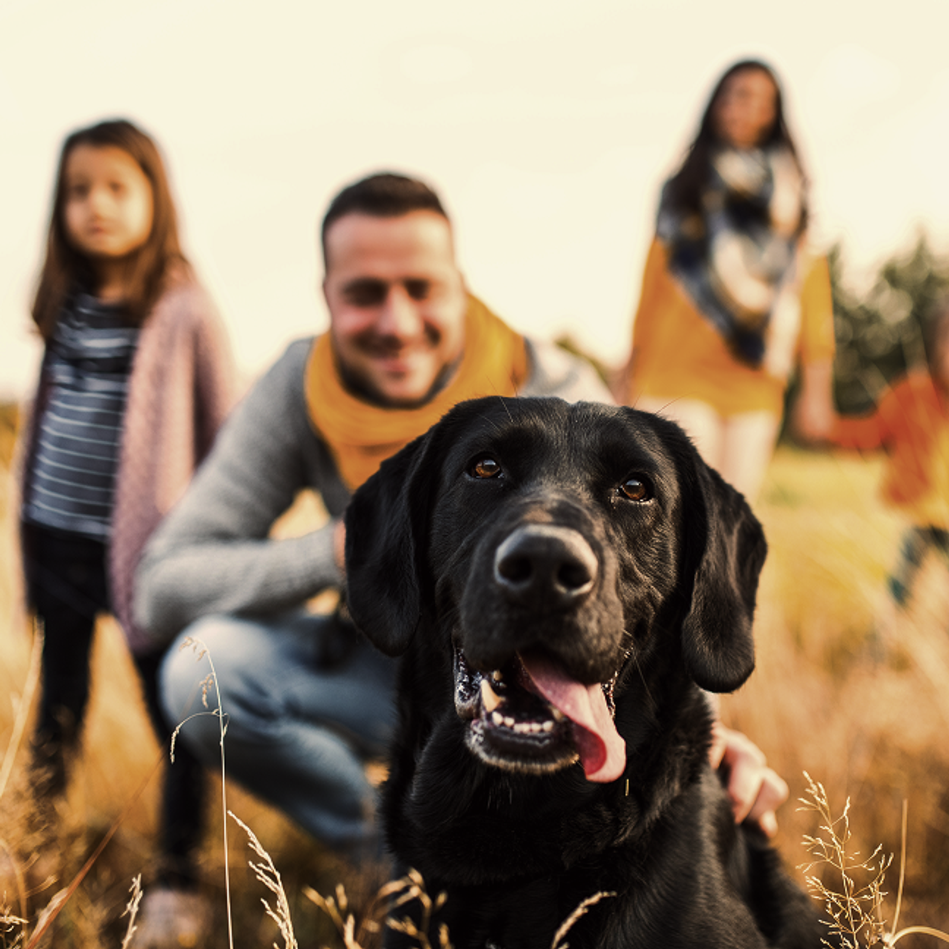 Ein schwarzer Labrador im Vordergrund, dahinter verschwommen eine vierköpfige Familie.