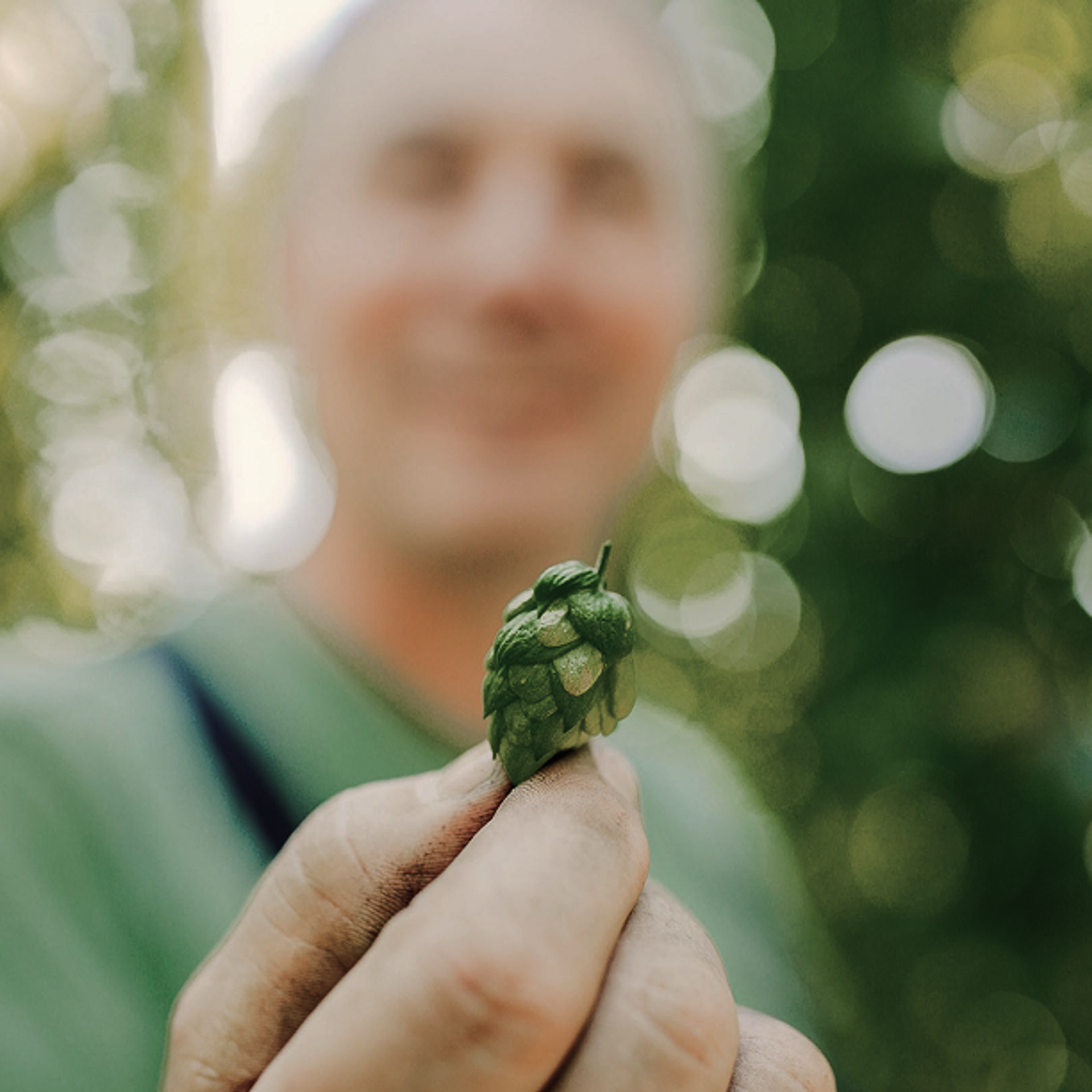 Zwei Finger halten eine Hopfenblüte.