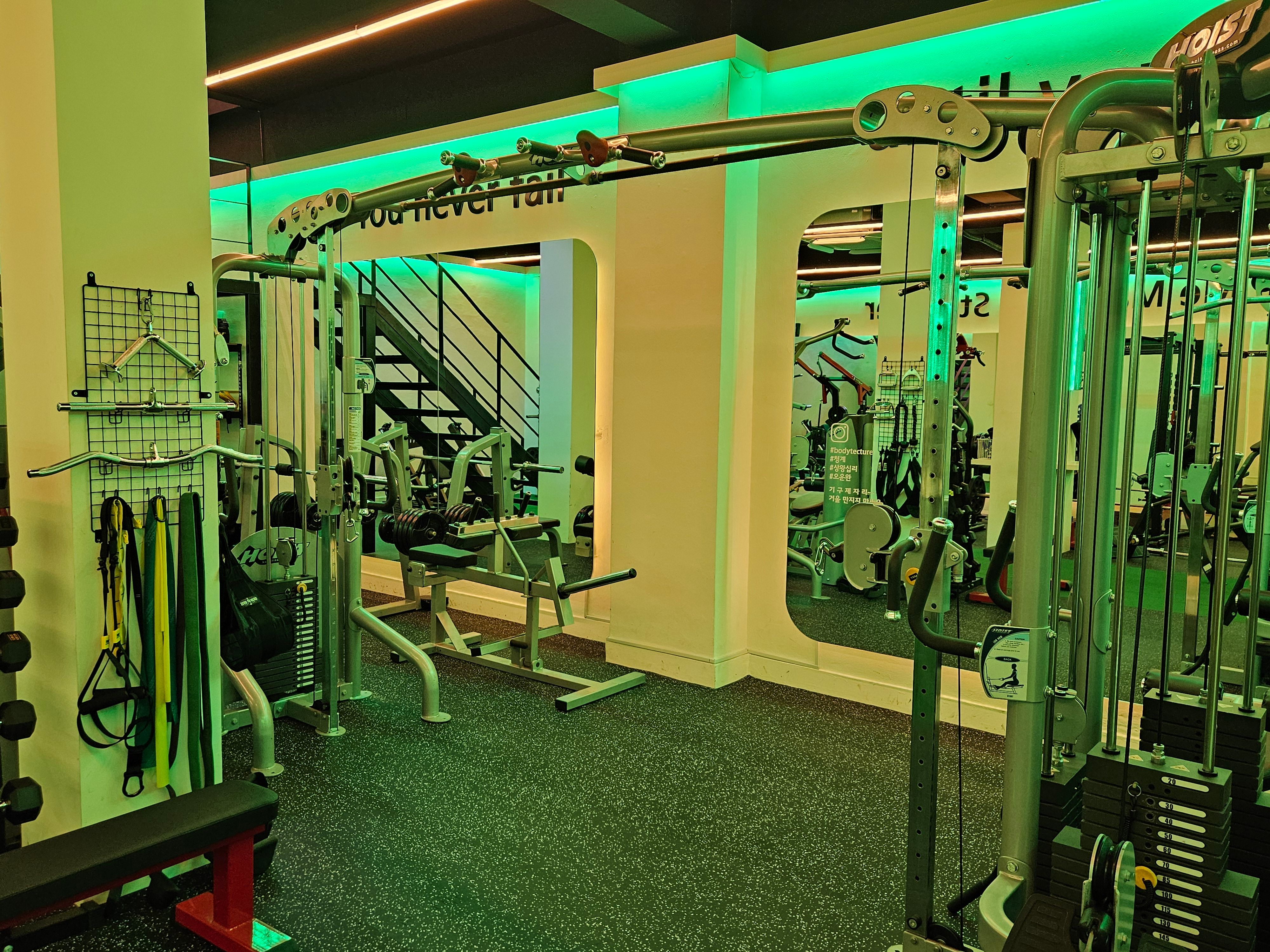 하이로우폴리 사진