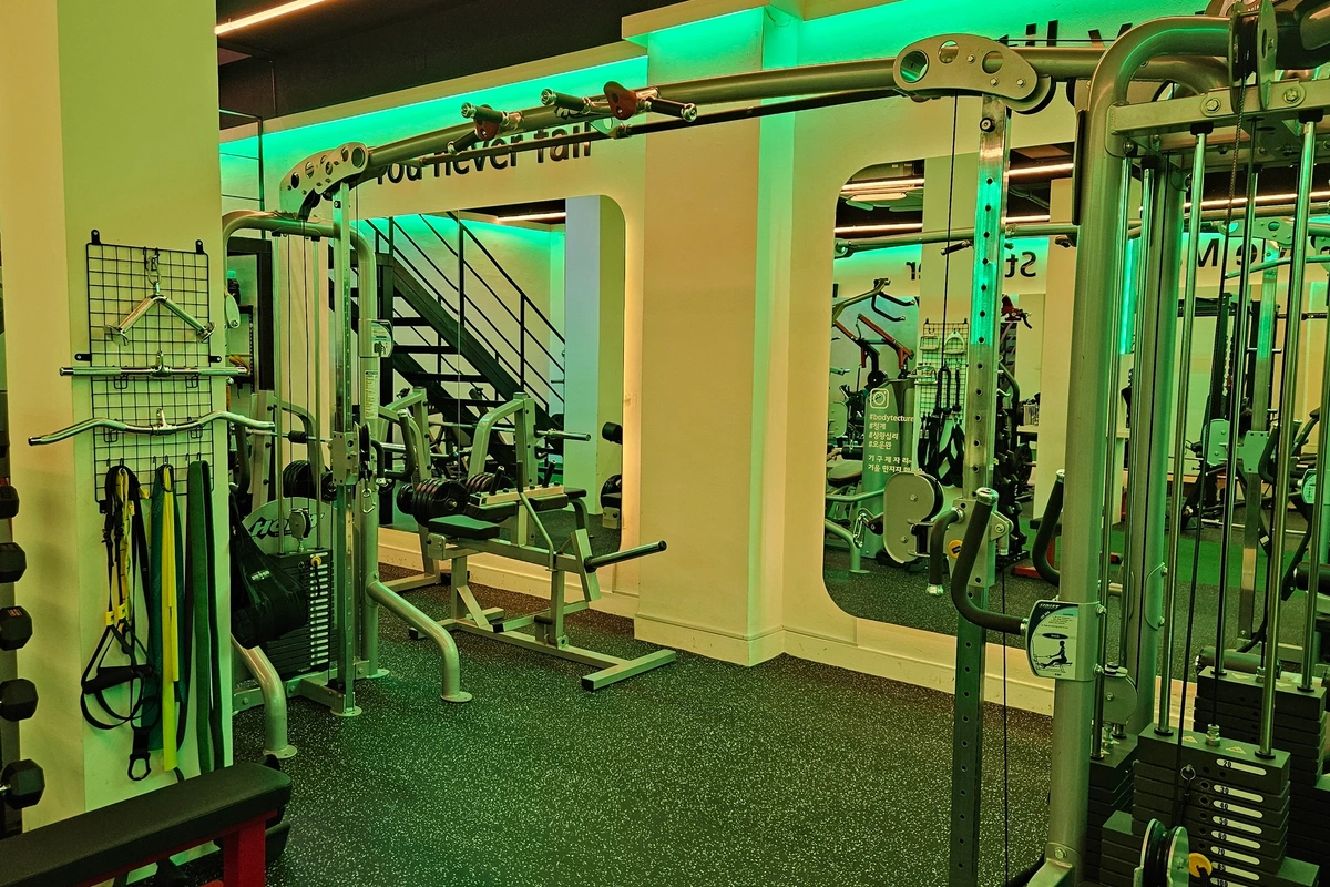 하이로우폴리 사진