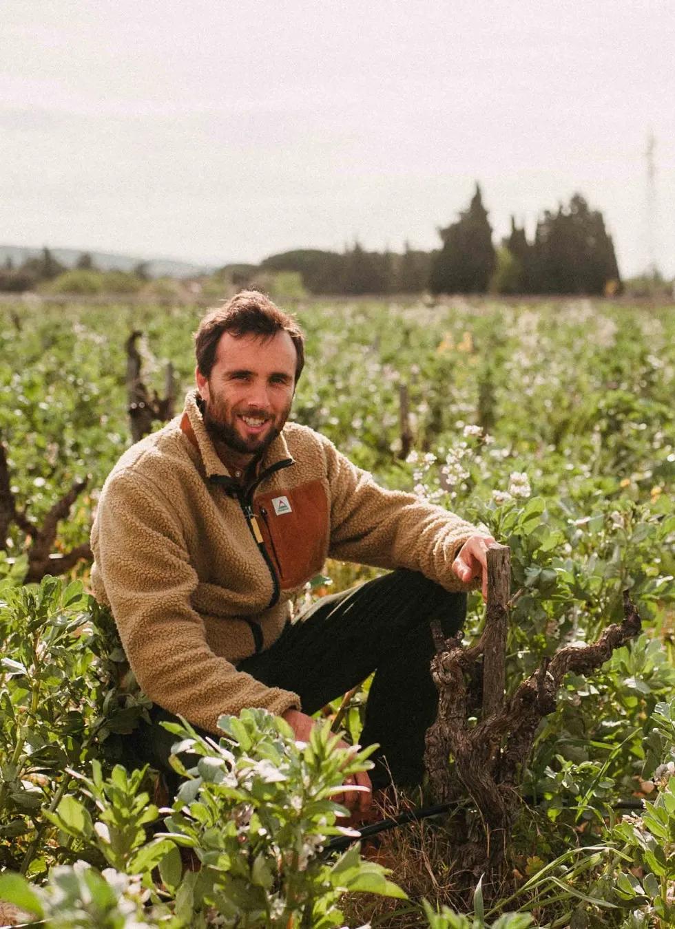 Vigneron accroupi dans la vigne, au milieu du couvert végétal