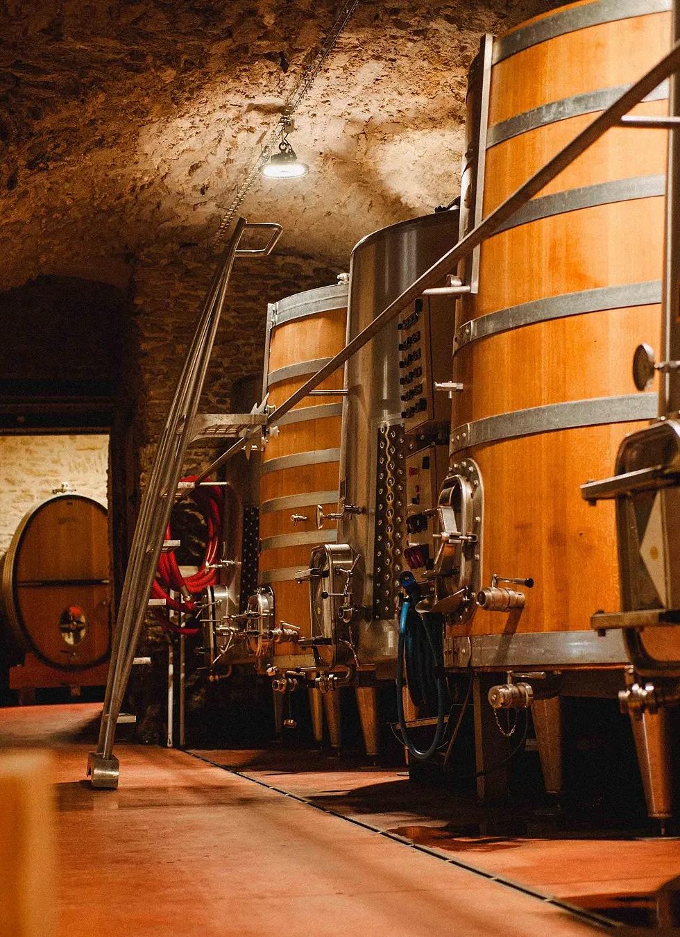 Cuves en bois et en inox dans une cave voûtée