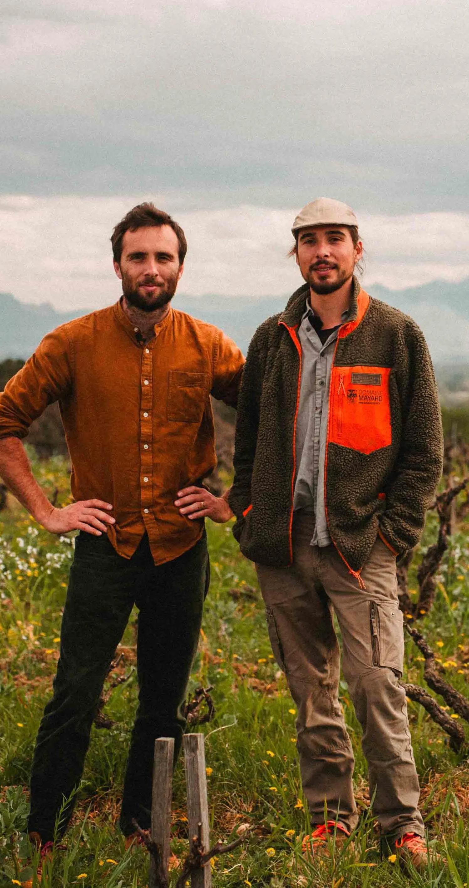 Deux vignerons debout dans la vigne