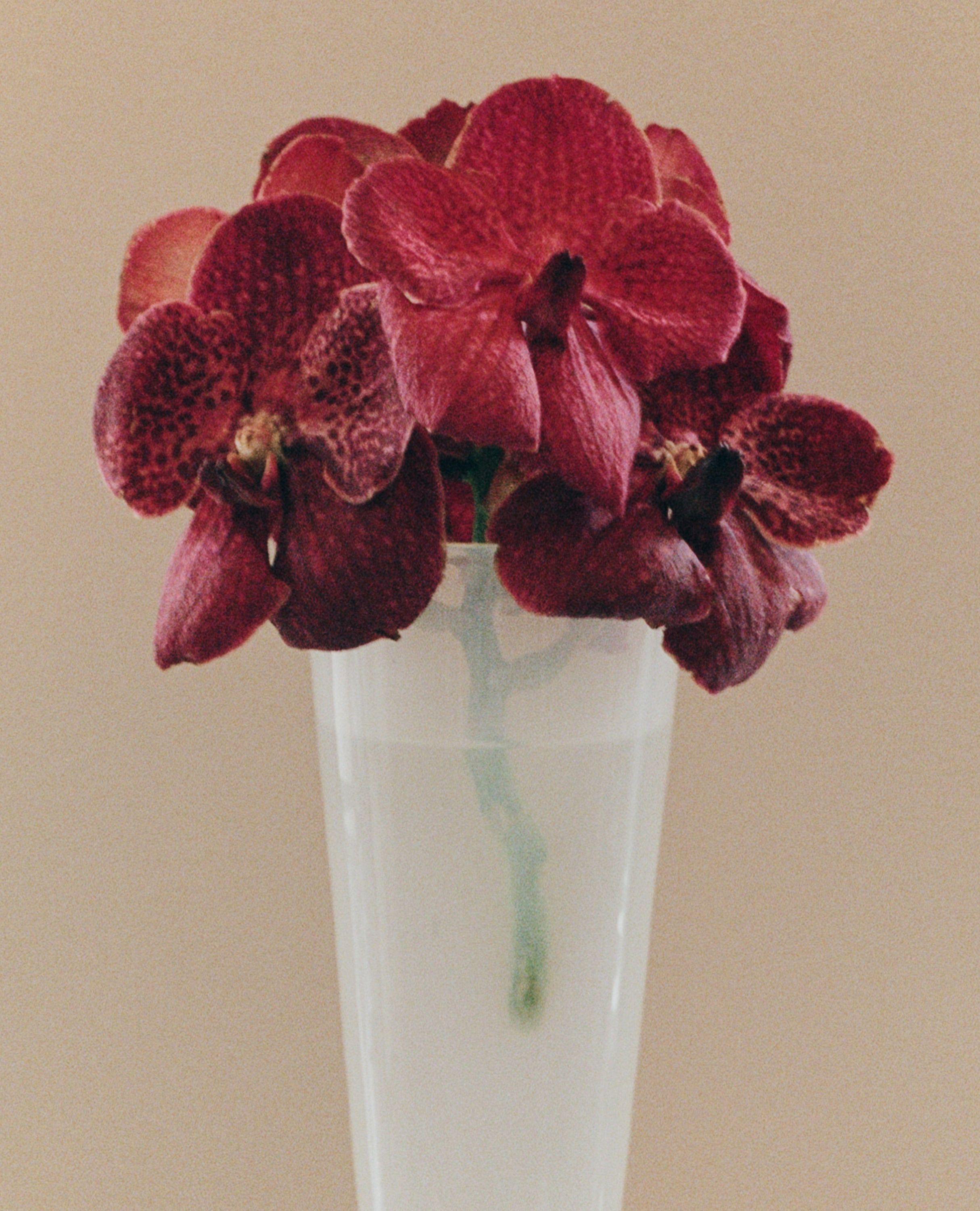 Deep red spotted orchids in a clear vase.