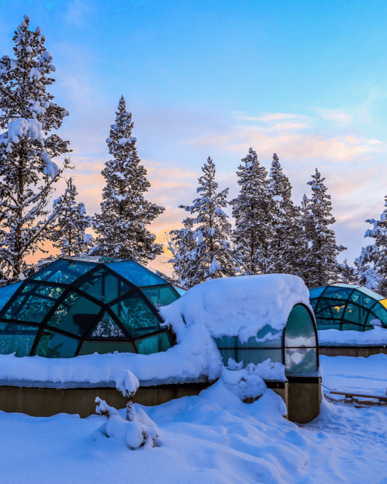 Snowy glass igloos and pine trees at twilight.