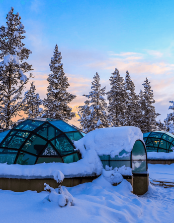 Snowy glass igloos and pine trees at twilight.